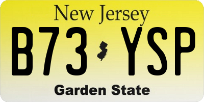 NJ license plate B73YSP