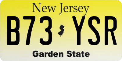 NJ license plate B73YSR