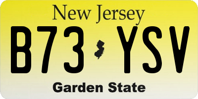 NJ license plate B73YSV