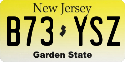 NJ license plate B73YSZ