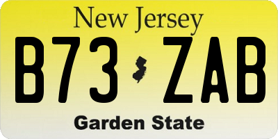 NJ license plate B73ZAB