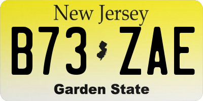 NJ license plate B73ZAE