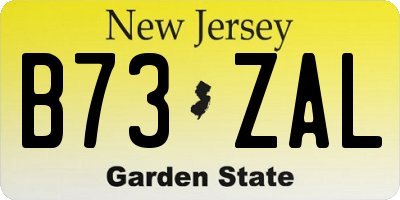 NJ license plate B73ZAL