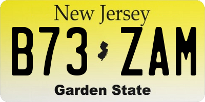 NJ license plate B73ZAM