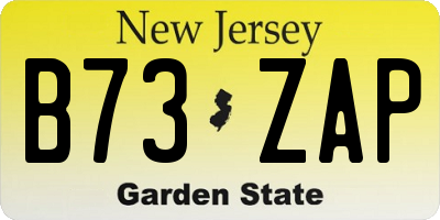 NJ license plate B73ZAP