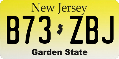 NJ license plate B73ZBJ