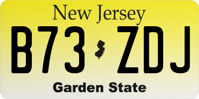 NJ license plate B73ZDJ
