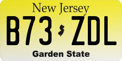 NJ license plate B73ZDL