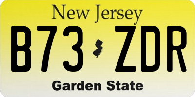 NJ license plate B73ZDR