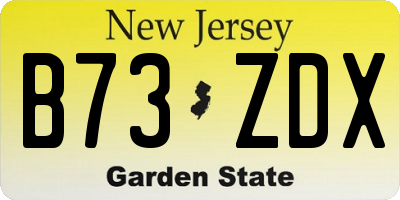 NJ license plate B73ZDX