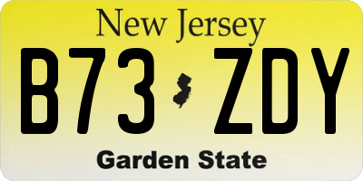 NJ license plate B73ZDY