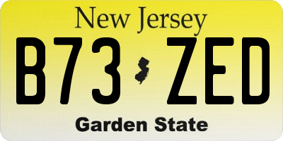 NJ license plate B73ZED