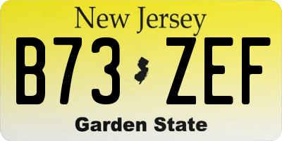 NJ license plate B73ZEF