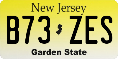 NJ license plate B73ZES
