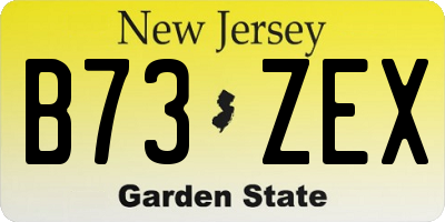 NJ license plate B73ZEX