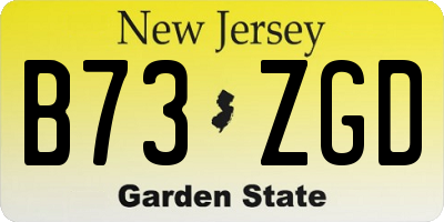 NJ license plate B73ZGD