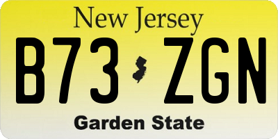 NJ license plate B73ZGN