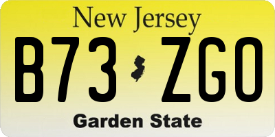 NJ license plate B73ZGO