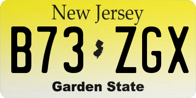 NJ license plate B73ZGX