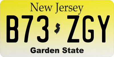 NJ license plate B73ZGY