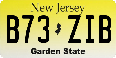 NJ license plate B73ZIB