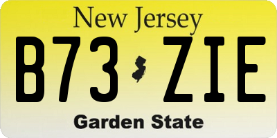 NJ license plate B73ZIE