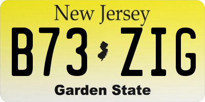 NJ license plate B73ZIG