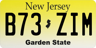 NJ license plate B73ZIM