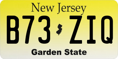 NJ license plate B73ZIQ