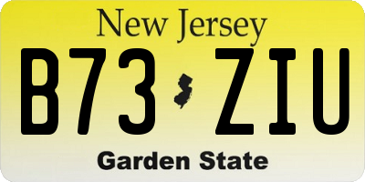 NJ license plate B73ZIU