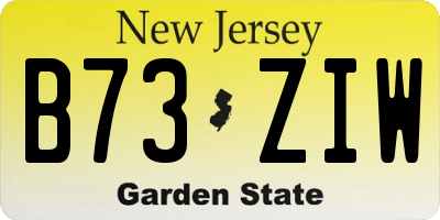 NJ license plate B73ZIW