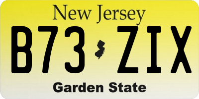 NJ license plate B73ZIX