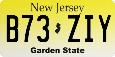 NJ license plate B73ZIY