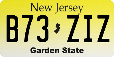 NJ license plate B73ZIZ