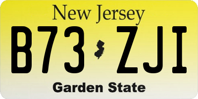 NJ license plate B73ZJI