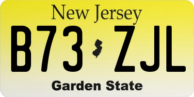NJ license plate B73ZJL
