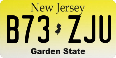 NJ license plate B73ZJU