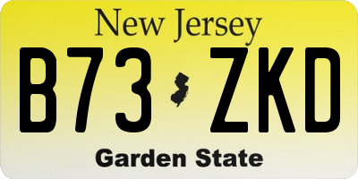 NJ license plate B73ZKD
