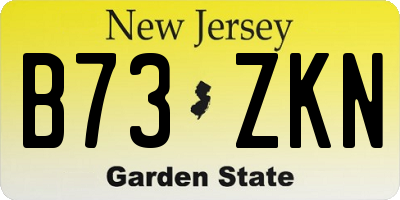 NJ license plate B73ZKN