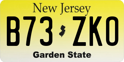 NJ license plate B73ZKO