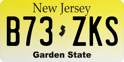 NJ license plate B73ZKS