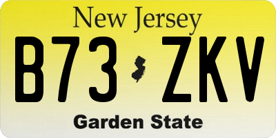 NJ license plate B73ZKV