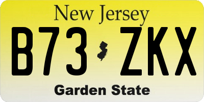 NJ license plate B73ZKX
