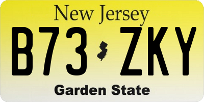 NJ license plate B73ZKY
