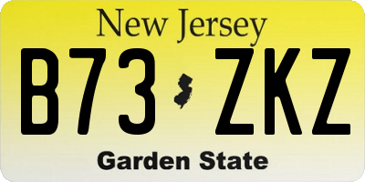 NJ license plate B73ZKZ