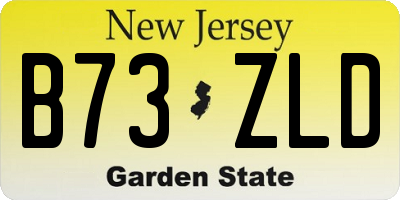 NJ license plate B73ZLD