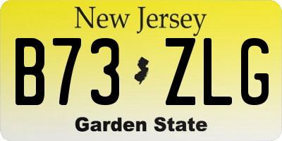 NJ license plate B73ZLG