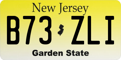 NJ license plate B73ZLI