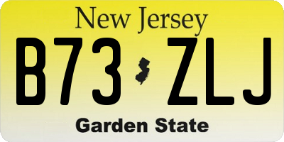 NJ license plate B73ZLJ