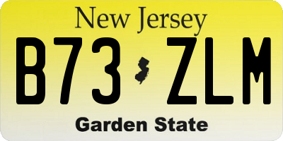 NJ license plate B73ZLM